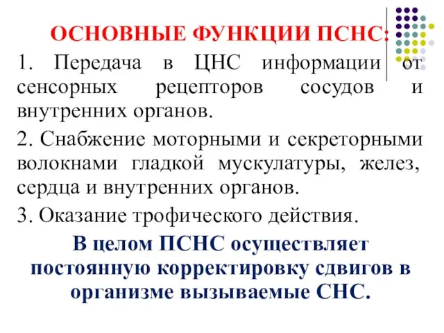 ОСНОВНЫЕ ФУНКЦИИ ПСНС: 1. Передача в ЦНС информации от сенсорных рецепторов сосудов