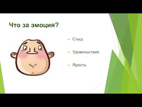 Что за эмоция? Стыд Удовольствие Ярость