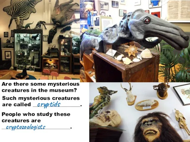 Are there some mysterious creatures in the museum? People who study these