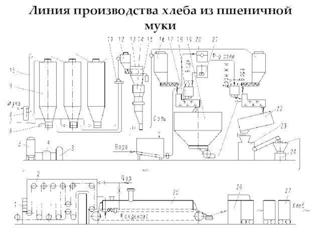 Линия производства хлеба из пшеничной муки