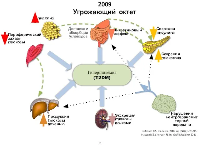 Периферический захват глюкозы Продукция Глюкозы печенью Секреция инсулина Секреция глюкагона Доставка и