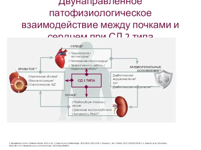 Двунаправленное патофизиологическое взаимодействие между почками и сердцем при СД 2 типа 1.
