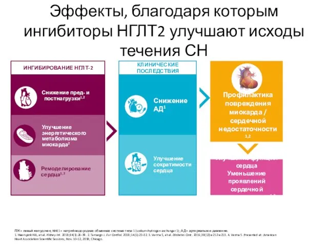 Эффекты, благодаря которым ингибиторы НГЛТ2 улучшают исходы течения СН ЛЖ = левый