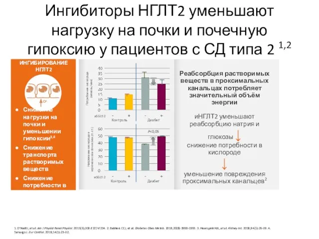 Ингибиторы НГЛТ2 уменьшают нагрузку на почки и почечную гипоксию у пациентов с