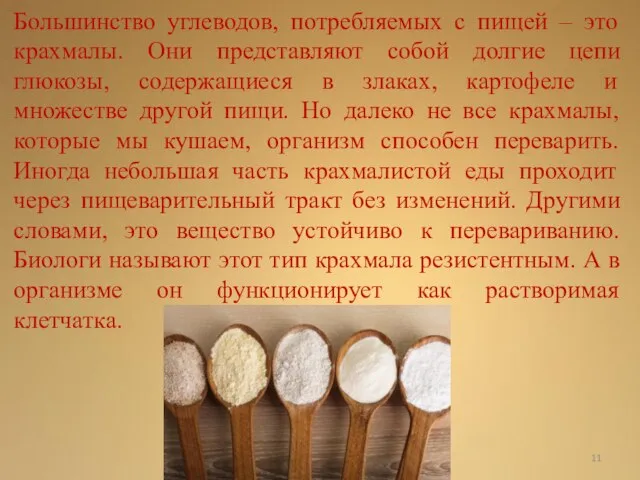 Большинство углеводов, потребляемых с пищей – это крахмалы. Они представляют собой долгие