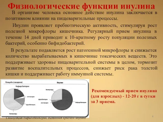 Физиологические функции инулина В организме человека основное действие инулина заключается в позитивном