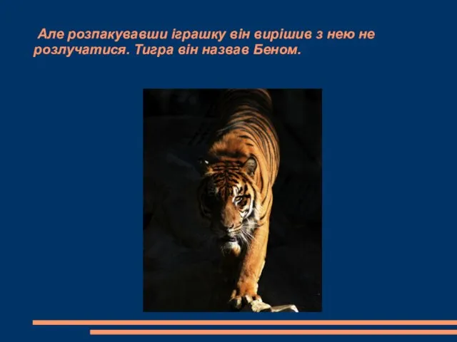 Але розпакувавши іграшку він вирішив з нею не розлучатися. Тигра він назвав Беном.