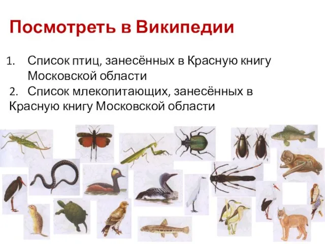 Посмотреть в Википедии Список птиц, занесённых в Красную книгу Московской области 2.