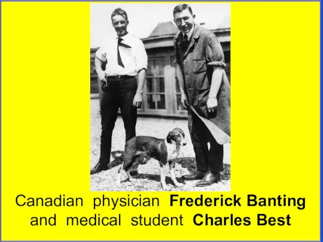 Canadian physician Frederick Banting and medical student Charles Best