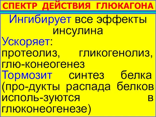 СПЕКТР ДЕЙСТВИЯ ГЛЮКАГОНА Ингибирует все эффекты инсулина Ускоряет: протеолиз, гликогенолиз, глю-конеогенез Тормозит