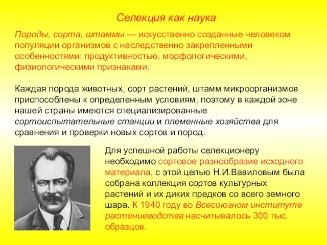 Породы, сорта, штаммы — искусственно созданные человеком популяции организмов с наследственно закрепленными