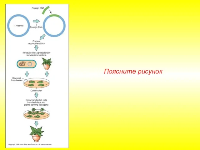 Поясните рисунок