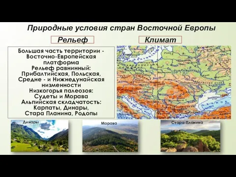 Природные условия стран Восточной Европы Климат Рельеф Большая часть территории - Восточно-Европейская
