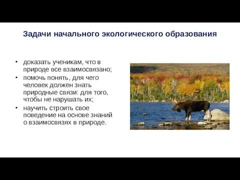 Задачи начального экологического образования доказать ученикам, что в природе все взаимосвязано; помочь