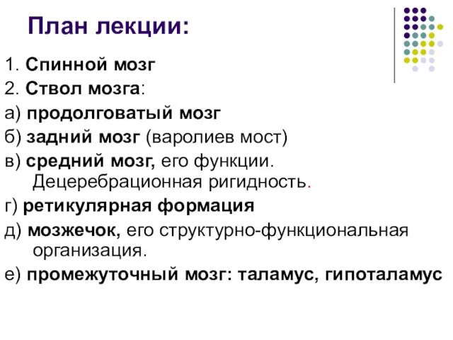 План лекции: 1. Спинной мозг 2. Ствол мозга: а) продолговатый мозг б)