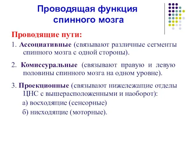 Проводящая функция спинного мозга Проводящие пути: 1. Ассоциативные (связывают различные сегменты спинного