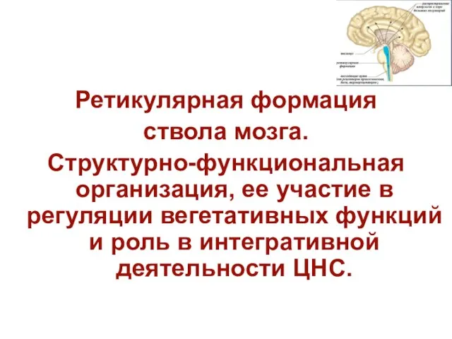 Ретикулярная формация ствола мозга. Структурно-функциональная организация, ее участие в регуляции вегетативных функций