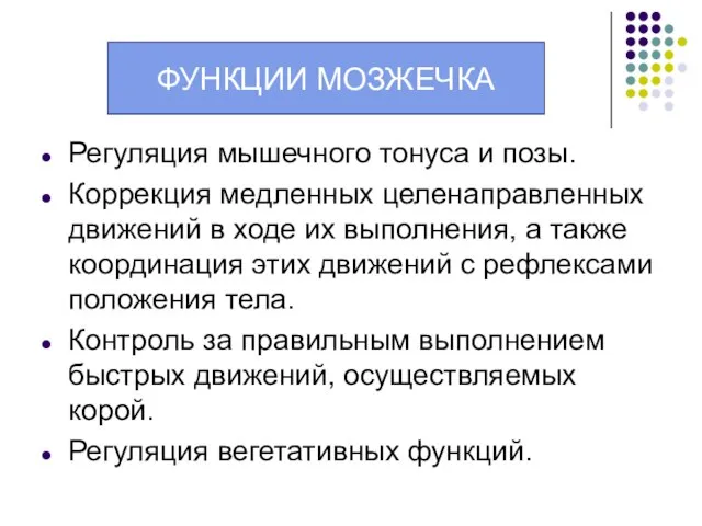 Функции мозжечка: Регуляция мышечного тонуса и позы. Коррекция медленных целенаправленных движений в