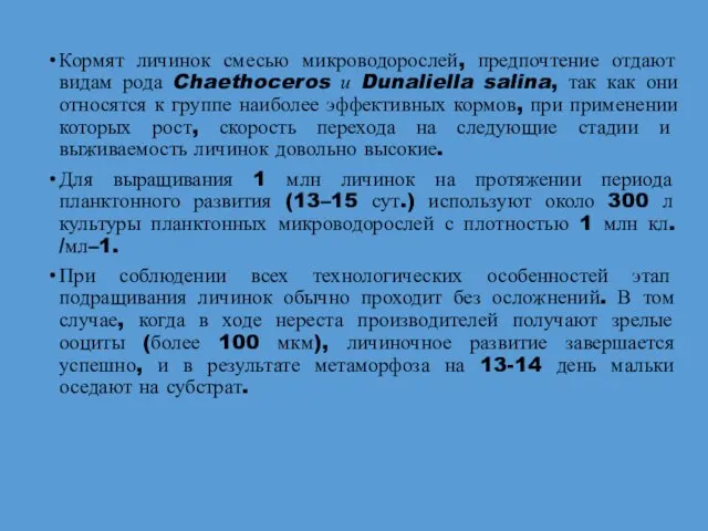 Кормят личинок смесью микроводорослей, предпочтение отдают видам рода Chaethoceros и Dunaliella salina,