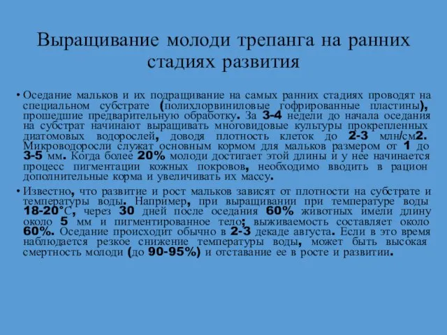 Выращивание молоди трепанга на ранних стадиях развития Оседание мальков и их подращивание