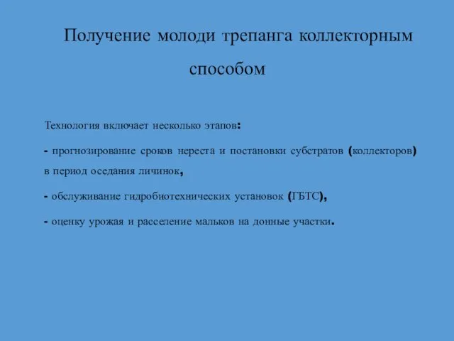 Получение молоди трепанга коллекторным способом Технология включает несколько этапов: - прогнозирование сроков