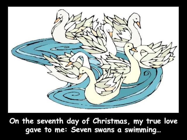 On the seventh day of Christmas, my true love gave to me: Seven swans a swimming…