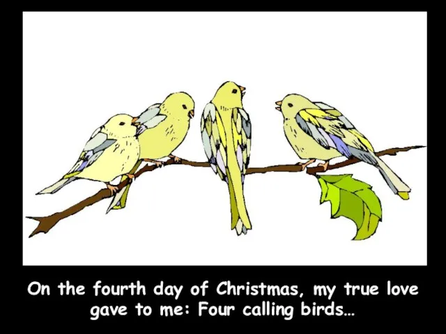 On the fourth day of Christmas, my true love gave to me: Four calling birds…