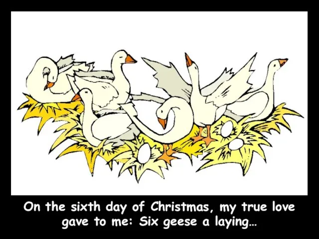 On the sixth day of Christmas, my true love gave to me: Six geese a laying…