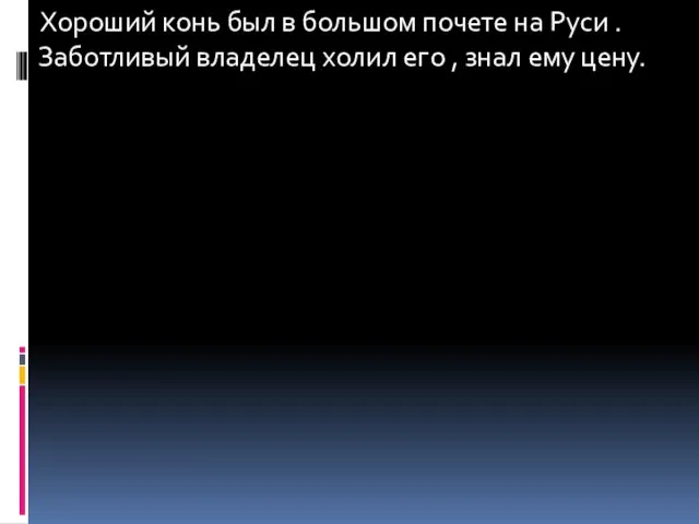 Хороший конь был в большом почете на Руси . Заботливый владелец холил