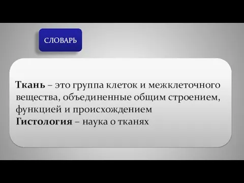 СЛОВАРЬ Ткань – это группа клеток и межклеточного вещества, объединенные общим строением,