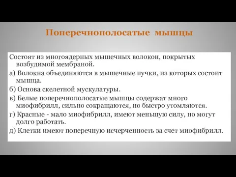 Состоят из многоядерных мышечных волокон, покрытых возбудимой мембраной. а) Волокна объединяются в