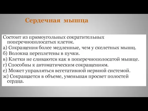 Состоит из прямоугольных сократительных поперечнополосатых клеток. а) Сокращения более медленные, чем у