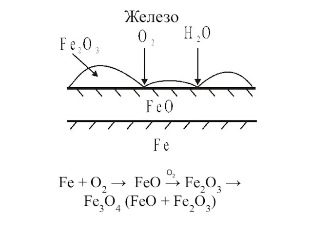 Железо Fe + O2 → FeO → Fe2O3 → Fe3O4 (FeO + Fe2O3) O2