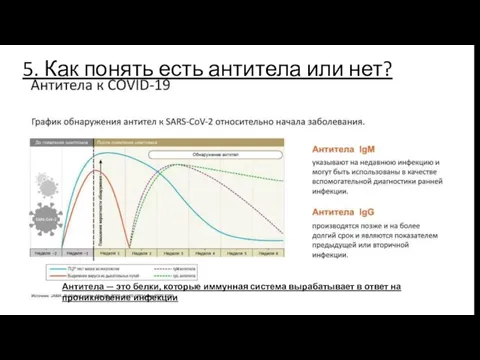 5. Как понять есть антитела или нет? Антитела — это белки, которые