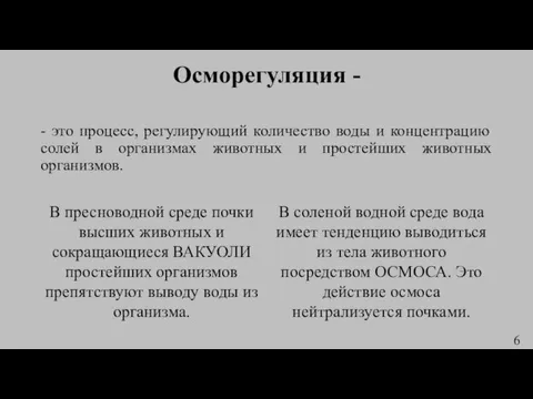 Осморегуляция - - это процесс, регулирующий количество воды и концентрацию солей в