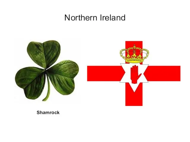 Northern Ireland Shamrock