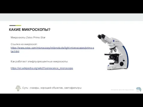 Микроскопы Zeiss Primo Star Ссылка на микроскоп: https://www.zeiss.com/microscopy/int/products/light-microscopes/primo-star.html Как работают эпифлуоресцентные микроскопы: