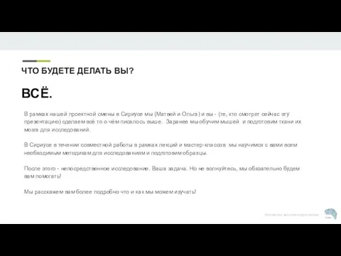 В рамках нашей проектной смены в Сириусе мы (Матвей и Ольга) и