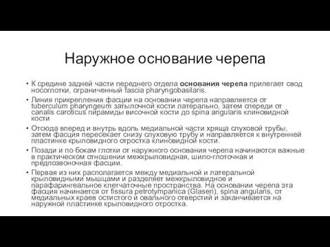 Наружное основание черепа К средине задней части переднего отдела основания черепа прилегает