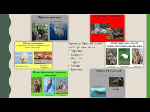 Страницы Красной книги имеют разные цвета: Черного Красного Желтого Серого Белого Зеленого