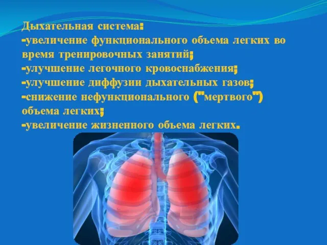 Дыхательная система: -увеличение функционального объема легких во время тренировочных занятий; -улучшение легочного