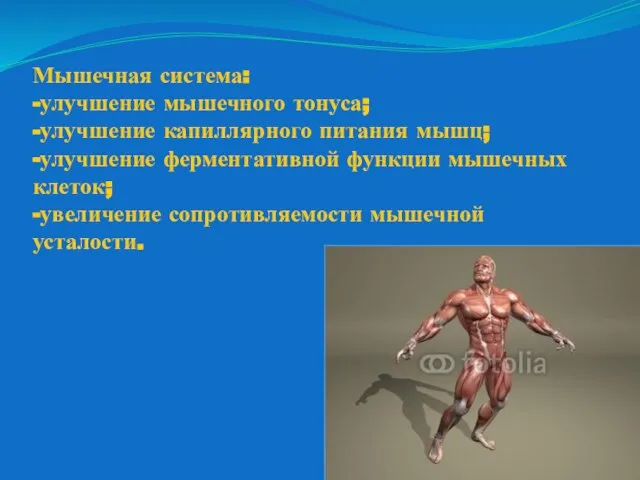 Мышечная система: -улучшение мышечного тонуса; -улучшение капиллярного питания мышц; -улучшение ферментативной функции