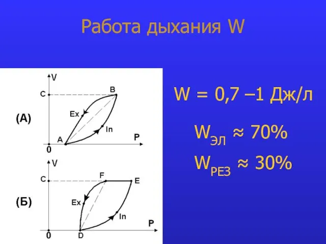 Работа дыхания W W = 0,7 –1 Дж/л WЭЛ ≈ 70% WРЕЗ ≈ 30%