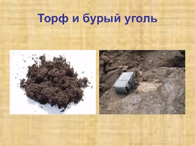 Торф и бурый уголь