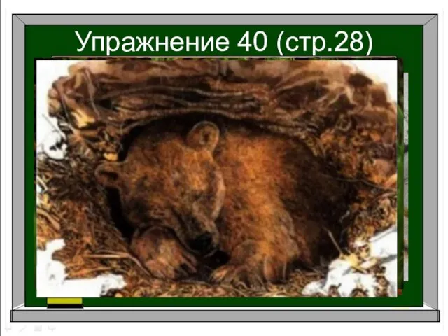 Упражнение 40 (стр.28)