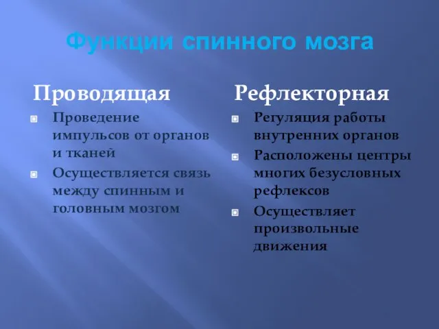 Функции спинного мозга Проводящая Проведение импульсов от органов и тканей Осуществляется связь