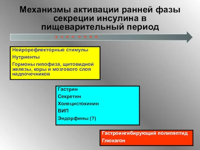 Механизмы активации ранней фазы секреции инсулина в пищеварительный период Нейрорефлекторные стимулы Нутриенты