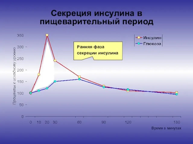 Секреция инсулина в пищеварительный период Ранняя фаза секреции инсулина Время в минутах