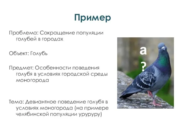 Проблема: Сокращение популяции голубей в городах Объект: Голубь Предмет: Особенности поведения голубя