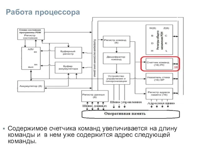 Работа процессора Содержимое счетчика команд увеличивается на длину команды и в нем